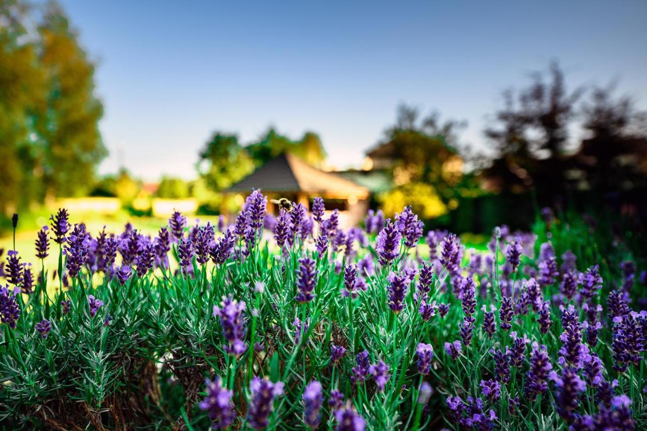 Villa Natura Zator Przeciszow Exteriér fotografie